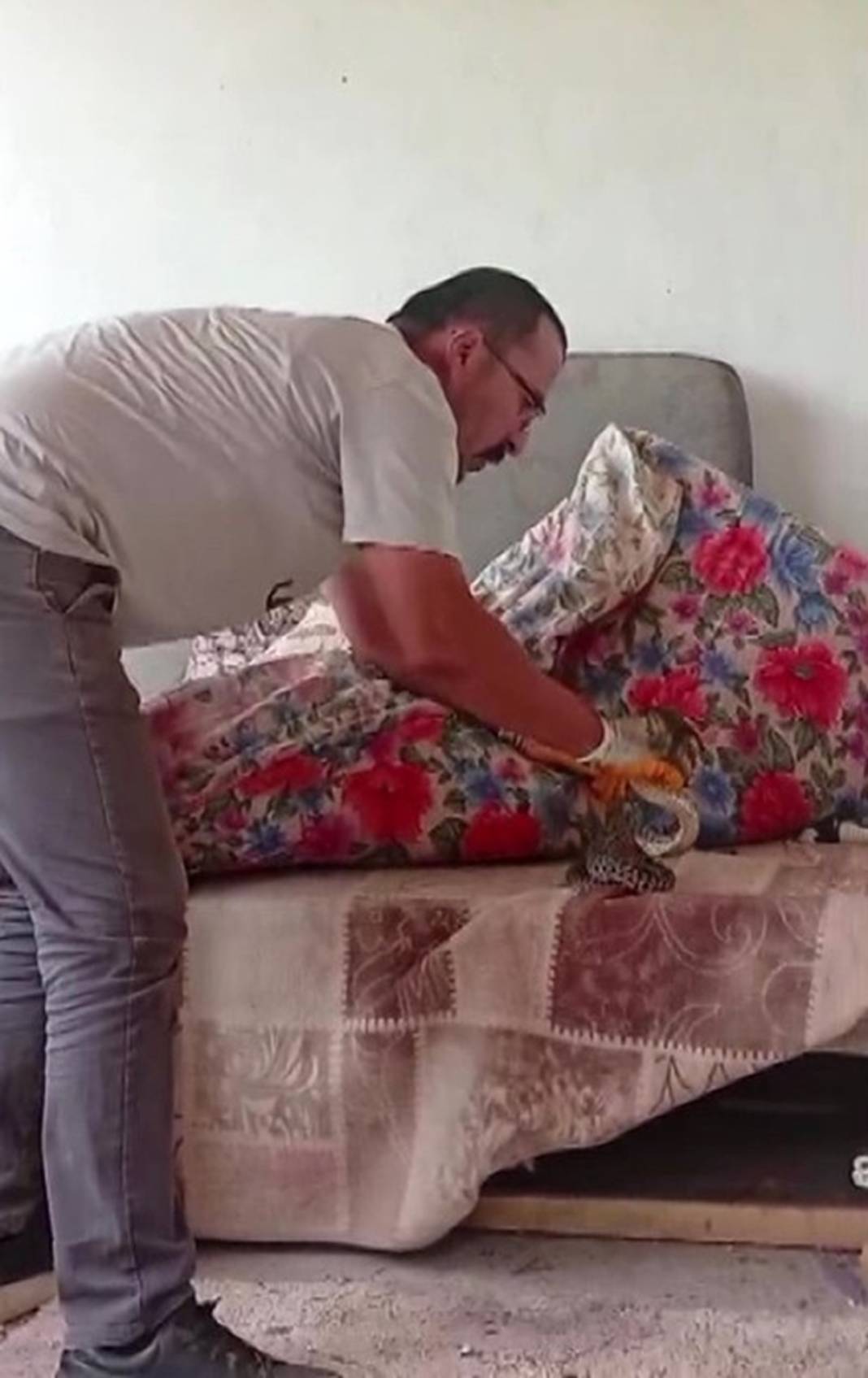 Eve giren yılanı boynuna sardı! 1